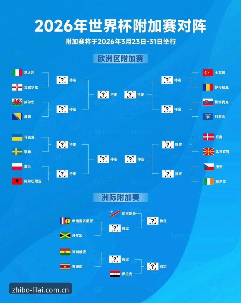 世界杯观赛受阻背后的签证困局与地缘政治深度解析——利来体育平台视角下的赛事冷思考